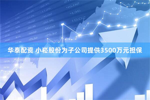 华泰配资 小崧股份为子公司提供3500万元担保